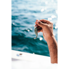 Berkley Gulp Pogy sardine 3-inch tail movement shown for realistic lure action