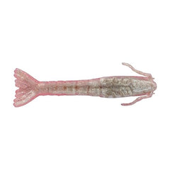 Berkley Gulp! Saltwater Shrimp Flamingo Chrome 3in in water highlighting realistic profile attracts redfish