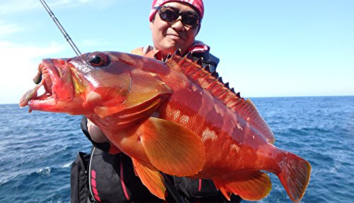 Berkley Gulp! SW Pulse Claw 3 Inch Red close-up shows lifelike action near cover.