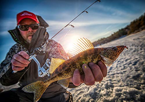 Detailed view of the Berkley PBHIFRY.75-NW bait profile
