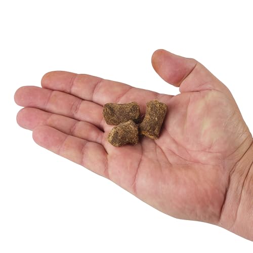 Berkley PowerBait Catfish Bait Chunks packaging displays ready-to-use bait.