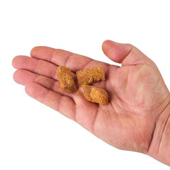 Berkley PowerBait packaging highlights irresistible scent and flavor for catfish attraction.