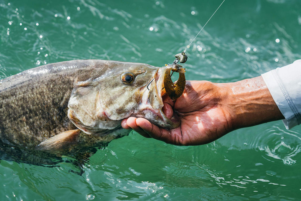 Berkley PowerBait Chigger Craw 10-count pack ready to fish
