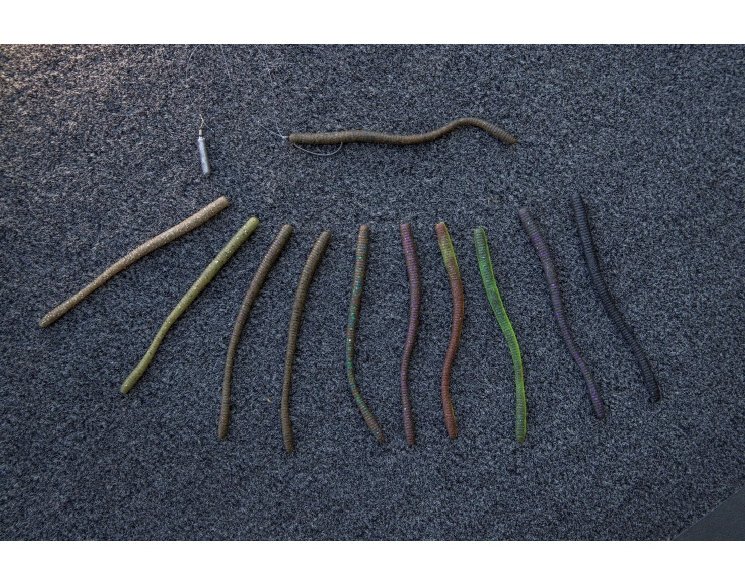 Berkley PowerBait MaxScent D-Worm texture detail emphasizes lifelike appearance for confident fishing.