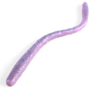 Powerbait Deworm 3.6-inch worm blue side view highlights slim profile for steady casts