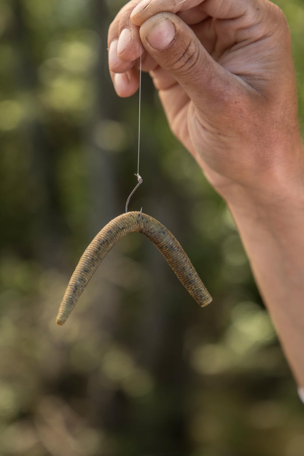 Carolina rig and shakey head setups work across varied water conditions