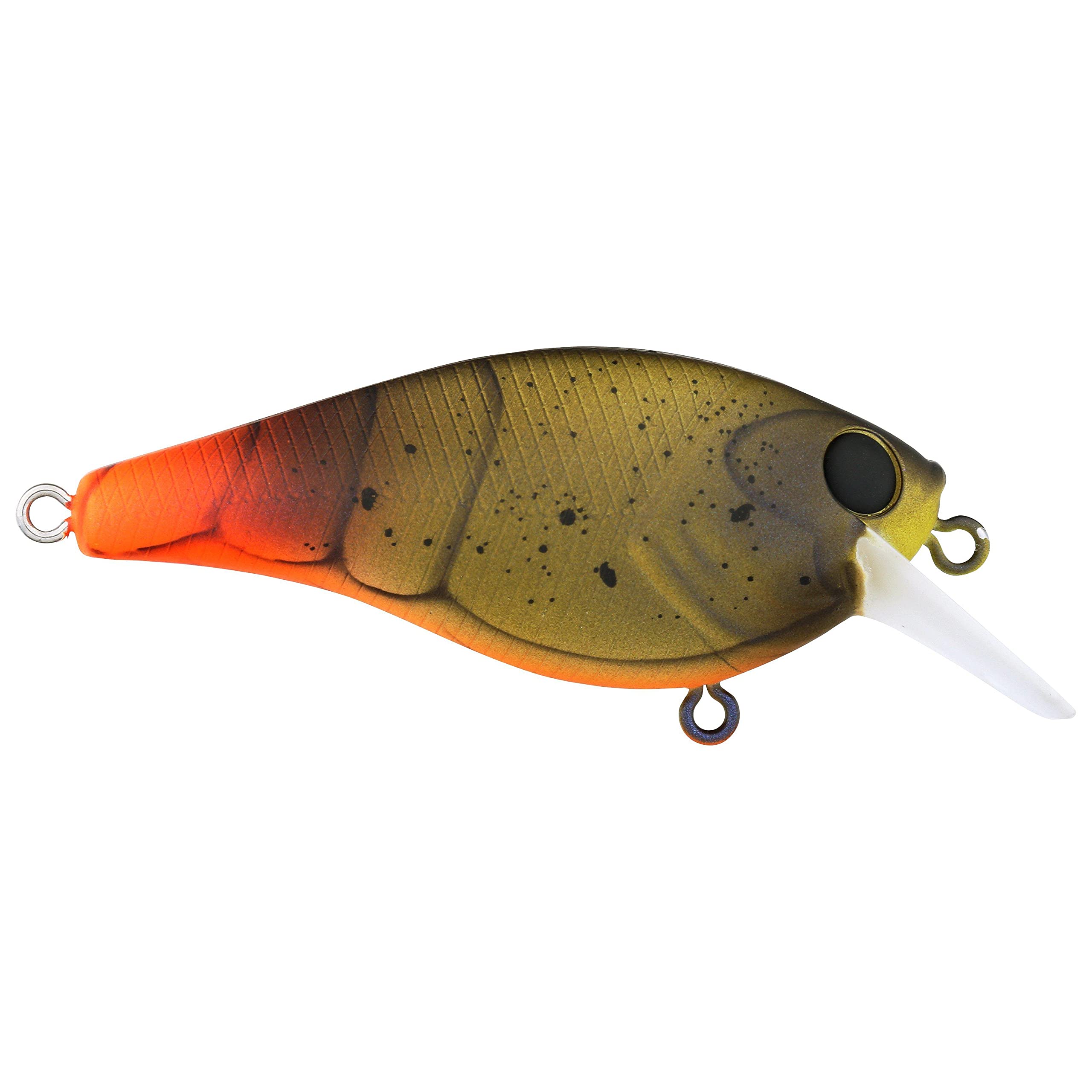 Berkley SquareBull hard bait with maximum flash and tail wag to draw bites