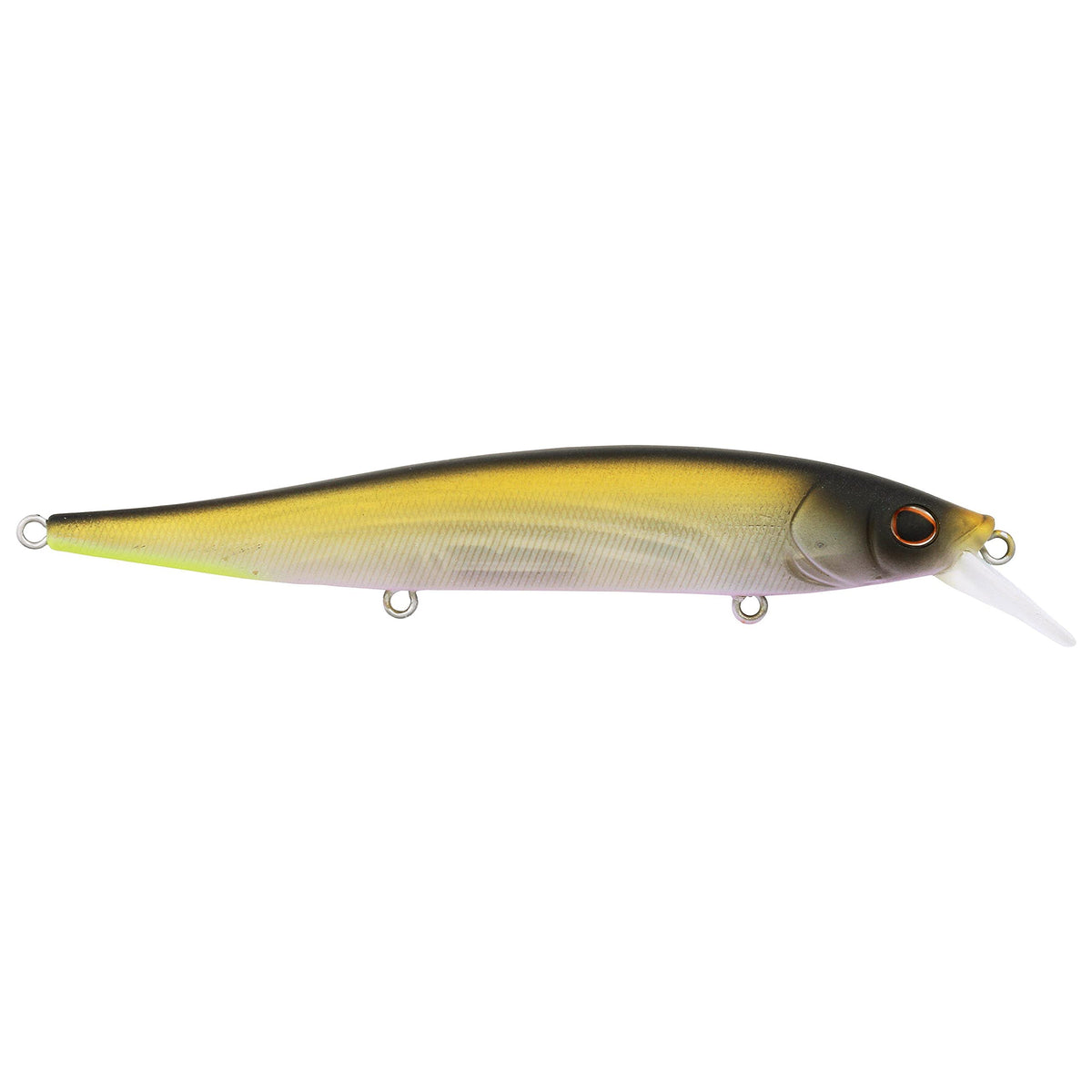 Berkley Stunna 112mm MF Tennessee Shad lure with lifelike action.