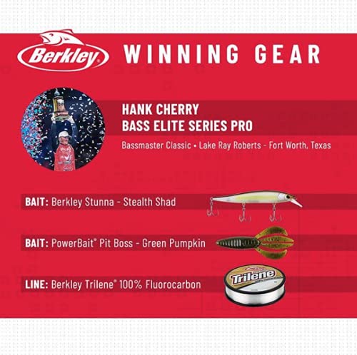 Berkley Stunna durable freshwater lure built for tough retrieves
