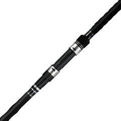 Berrypro Surf Spinning Rod 10ft 6in 2pc high-sensitivity carbon blanks.