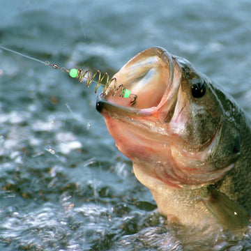Spring feeder basket holder ready for bait
