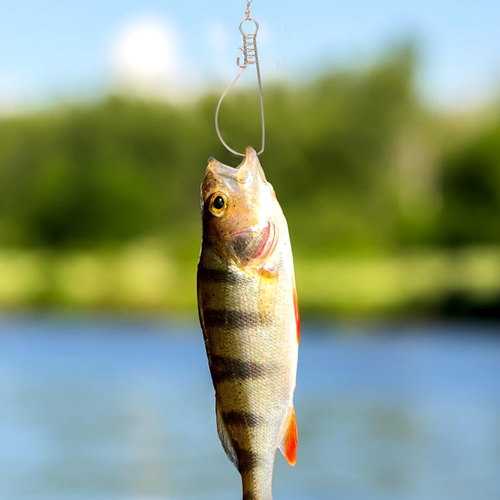Compact portable fishing stringer in carry case