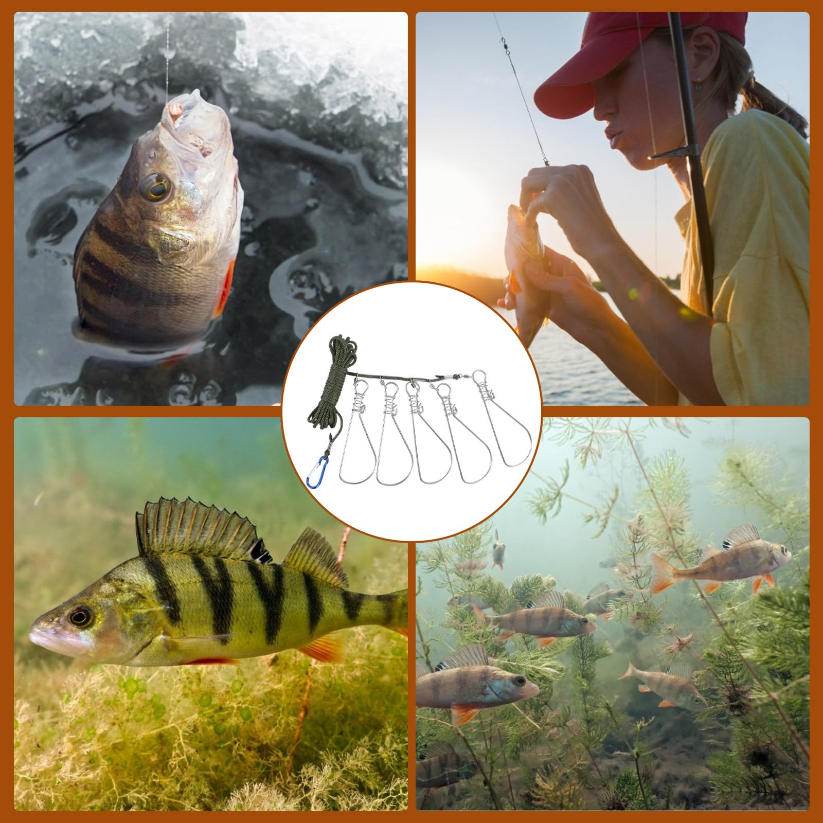 Besportble packaging presents a gift-ready setup for anglers