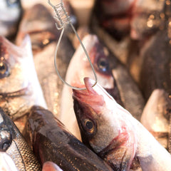 BESPORTBLE spring lock fish stringer in action shows quick securement.