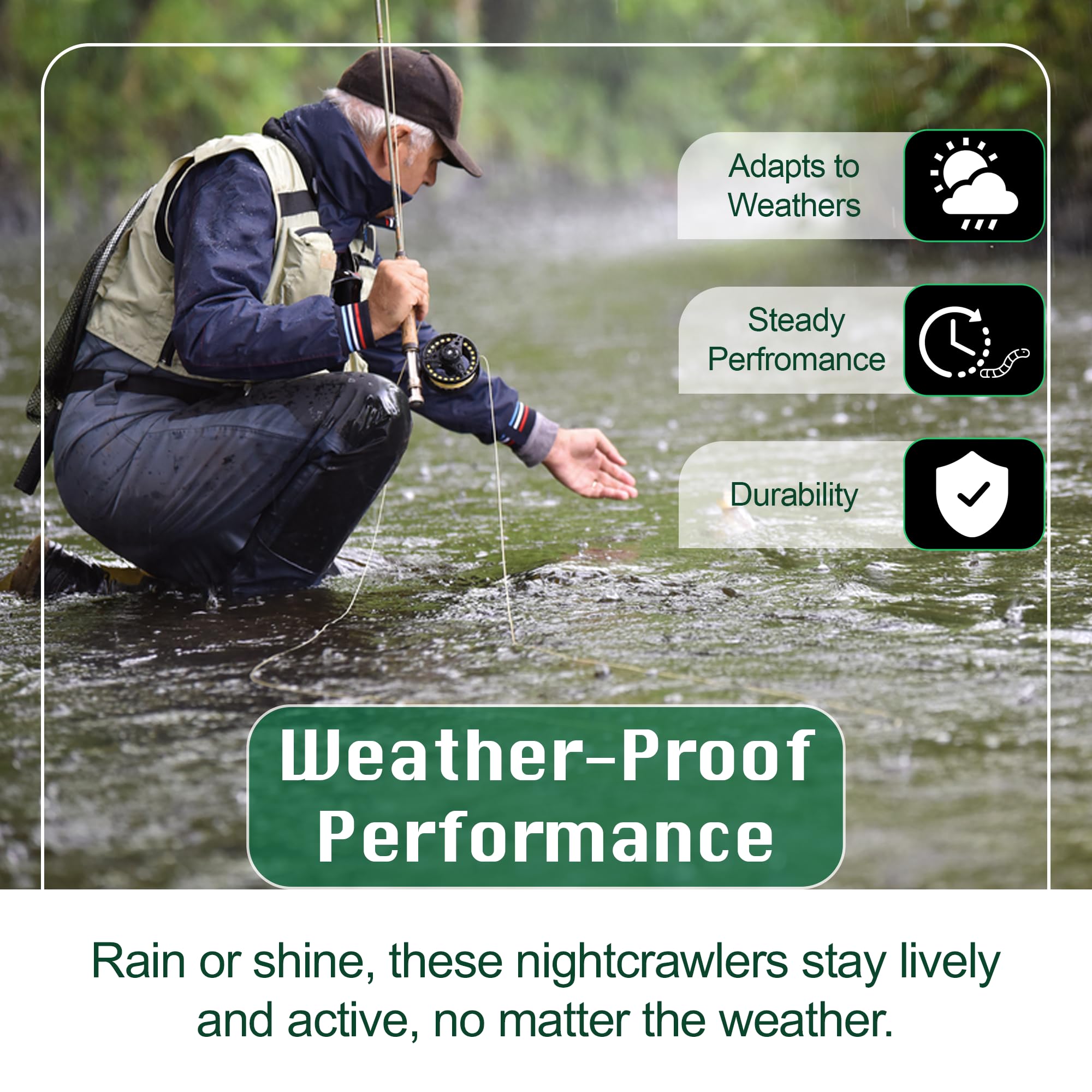 BESTBAIT nightcrawlers with natural scent for bites in any water.