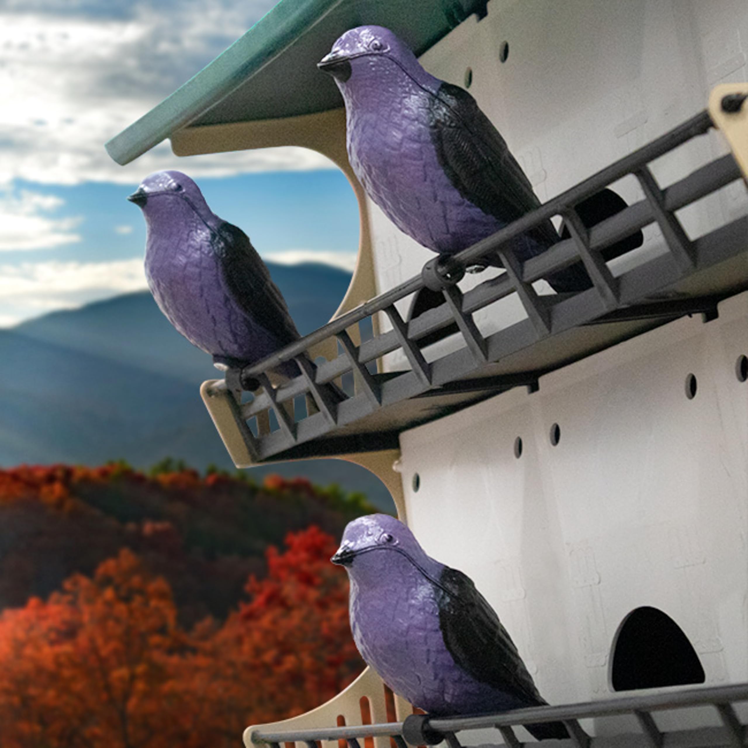 BestNest S&K decoys show lifelike feather detail for realistic colony setups