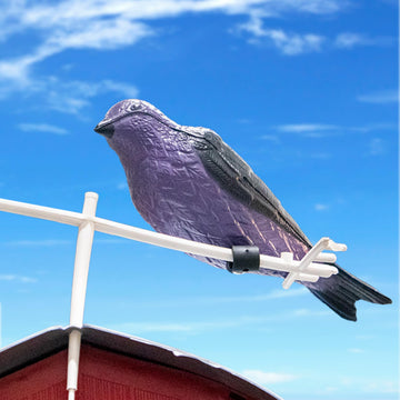 BestNest S&K decoys use weather-resistant plastic for season-long outdoor use