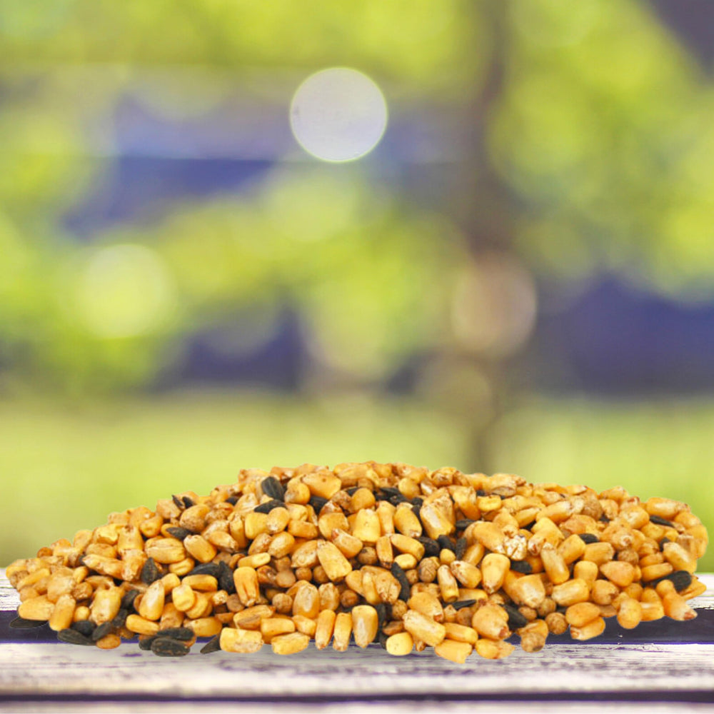BestNest Sweet Deer Feed Mix seed blend close-up showing sunflower seeds and corn