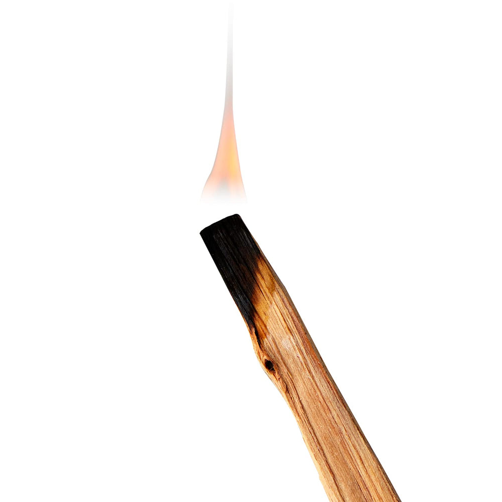 Better Wood Products Fatwood firestarter in damp outdoor setting shows water resistance.