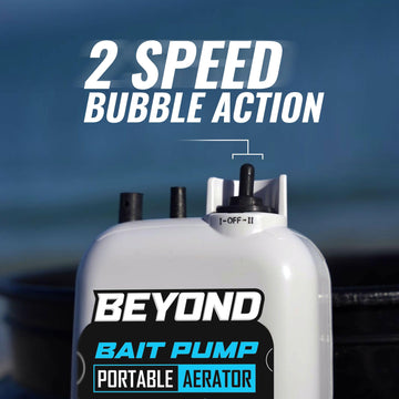 Bubble output from the bait aerator in a bucket