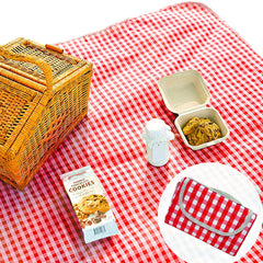 Beyond Thursday Cute Gingham Picnic Blanket spread on grass for a family picnic.