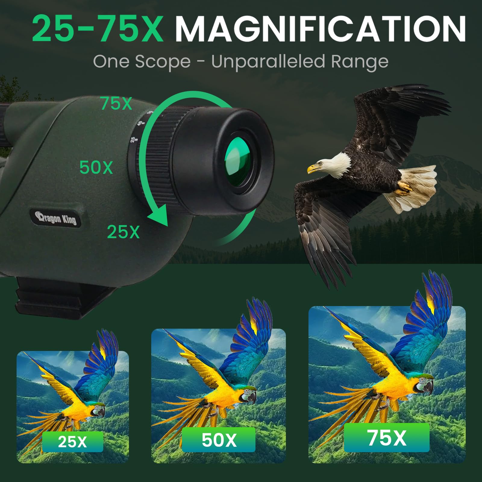 Bibire spotting scope straight eyepiece enables intuitive birdwatching setup.