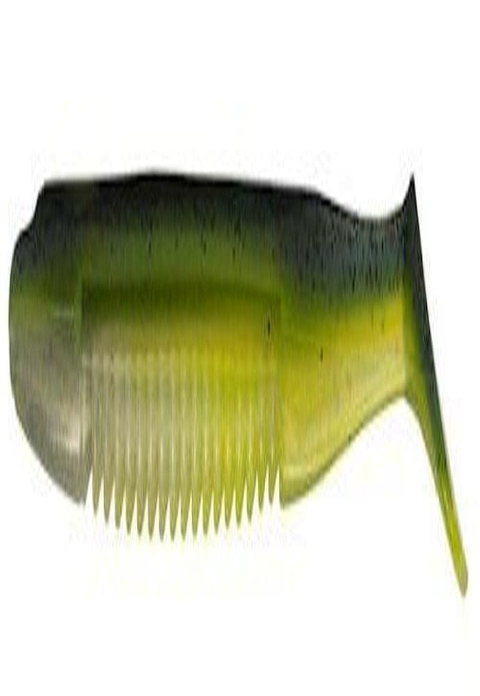 Big Bite Baits Cane Thumper 3.5-inch SS Shad lure delivering hard thump for bass jigging on weighted hooks
