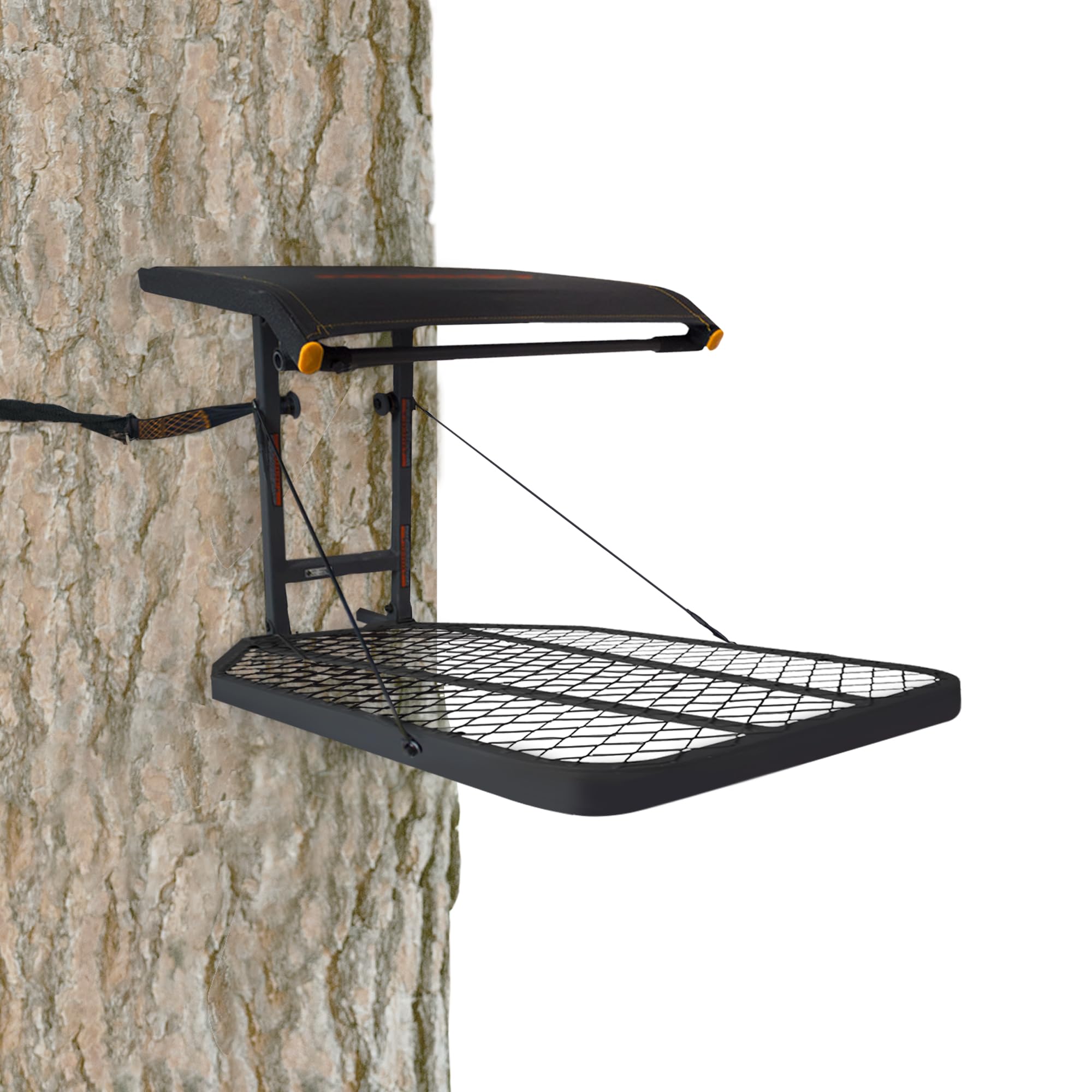 2-inch nylon strap with slide buckle ensures tree security