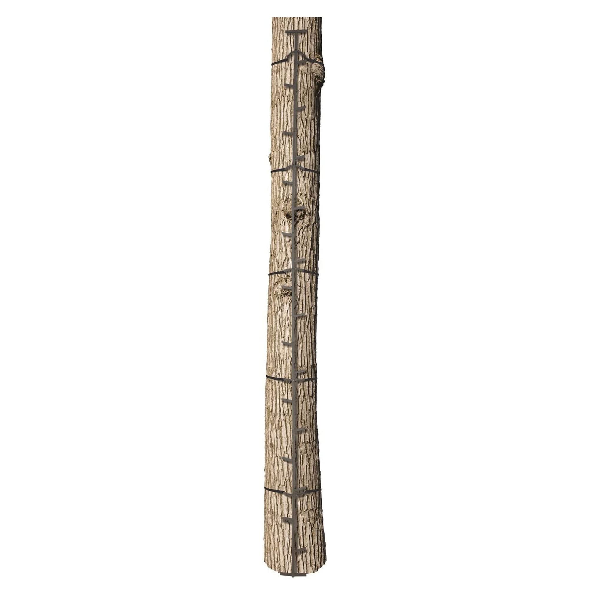 BIG GAME included cam buckle straps ensure ladder stays firmly attached