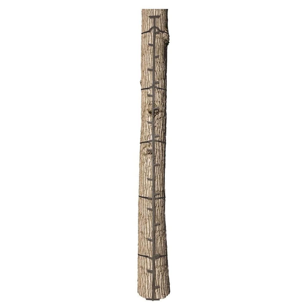 BIG GAME included cam buckle straps ensure ladder stays firmly attached