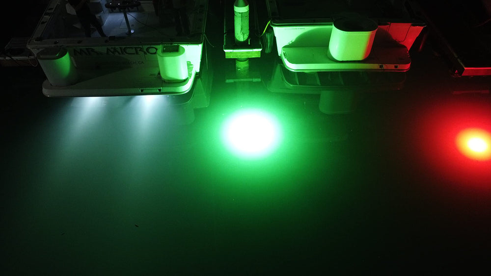 Big Water Lights made in USA ensures quality and safety.