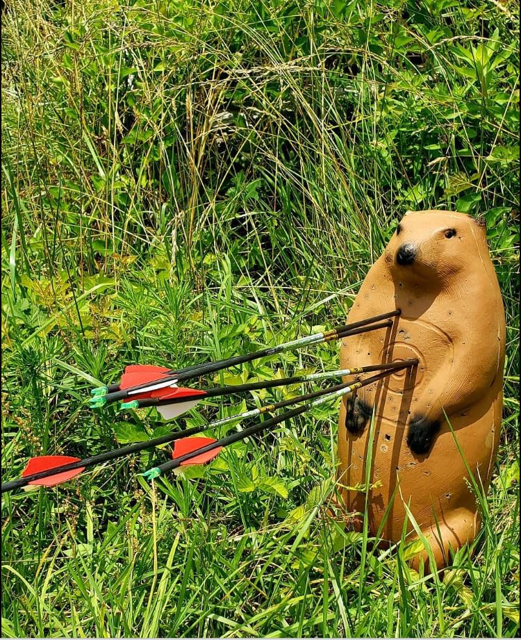BIGSHOT Real Wild 3D outdoor-use target withstands weather for backyard ranges and clubs