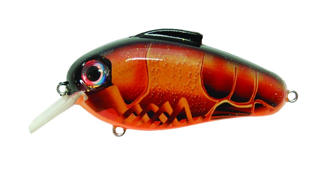 Bill Lewis EC264 Echo 1.75 squarebill in Pinch N Peach for shallow-water bass