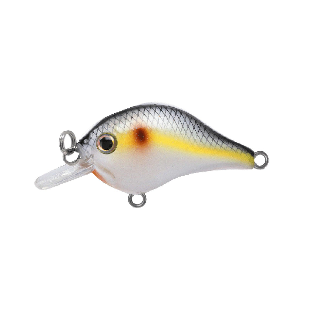 Bill Lewis GNAT micro-crankbait lure close-up showing compact profile and lifelike action for versatile fishing.