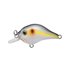 Bill Lewis GNAT micro-crankbait lure close-up showing compact profile and lifelike action for versatile fishing.