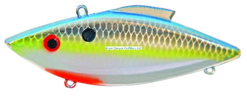 Rat-L-Trap 1/2 oz lipless crankbait in Sexy Chrome, angled shot