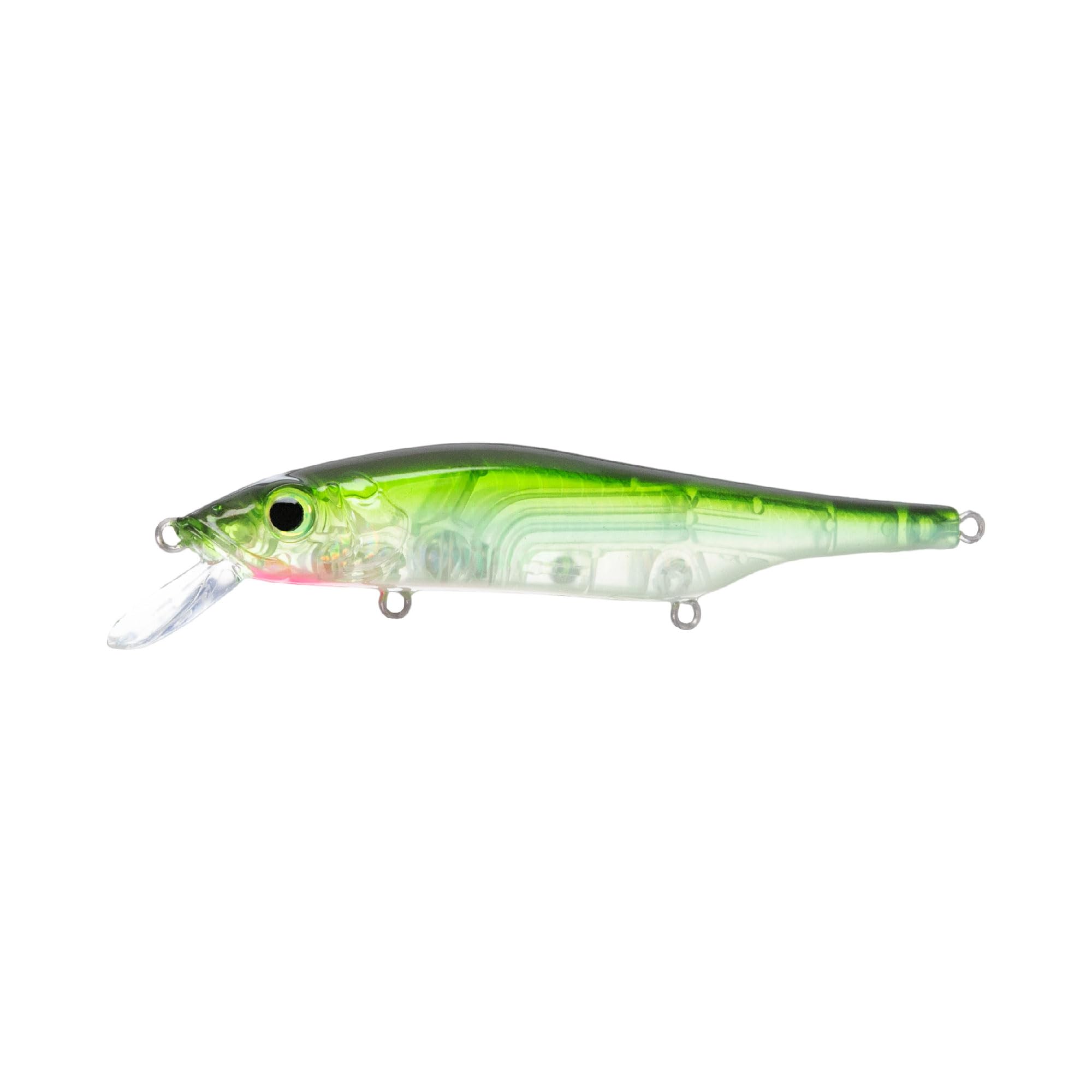 Bill Lewis Scope-Stik 120 side view, sideways flash enhances sonar visibility.