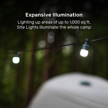BioLite charging case recharges lights via solar or USB-C for flexible power.