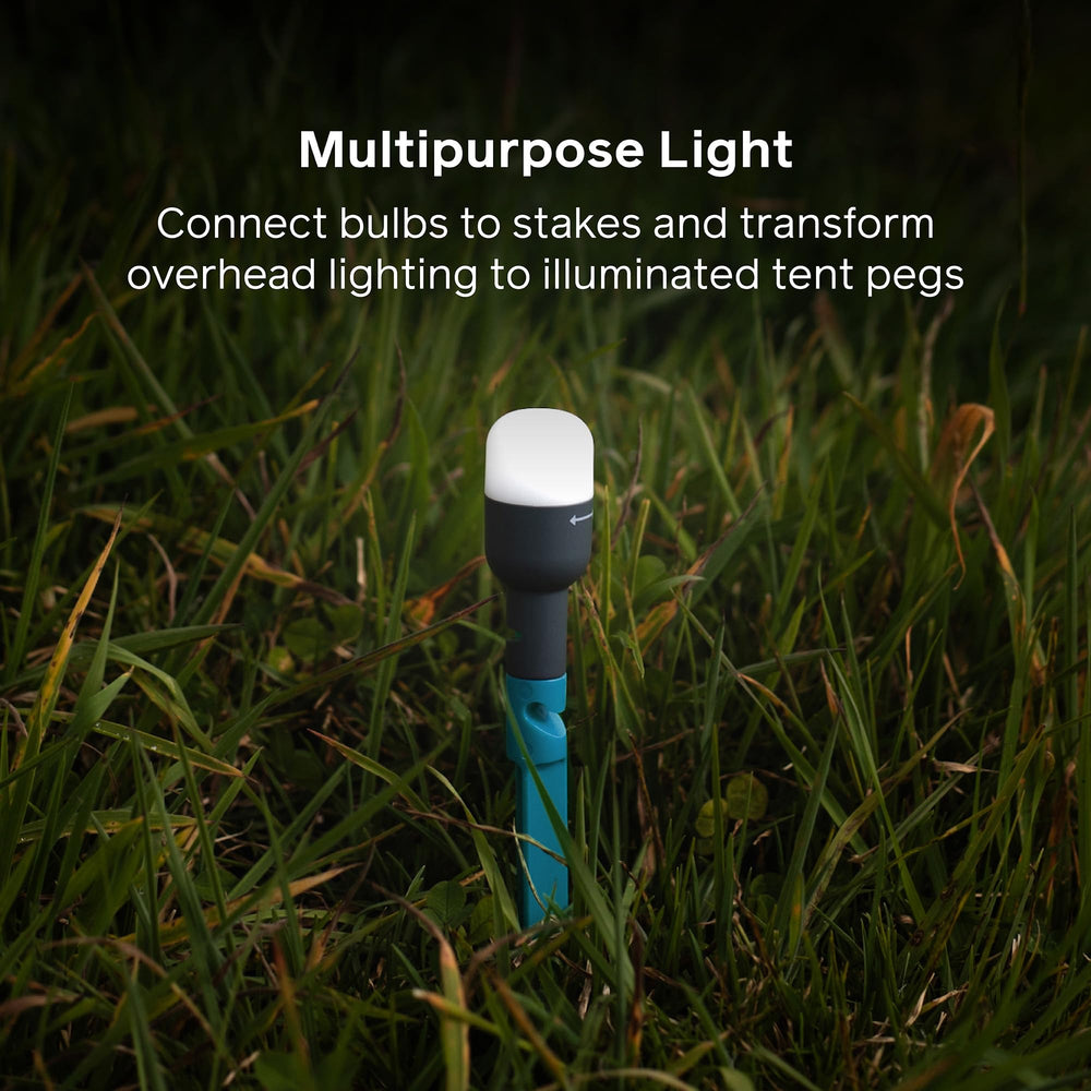 BioLite charging case recharges bulbs wirelessly for quick setup between uses.