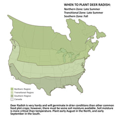 Biologic Deer-Radish nutritious forage for deer attraction.