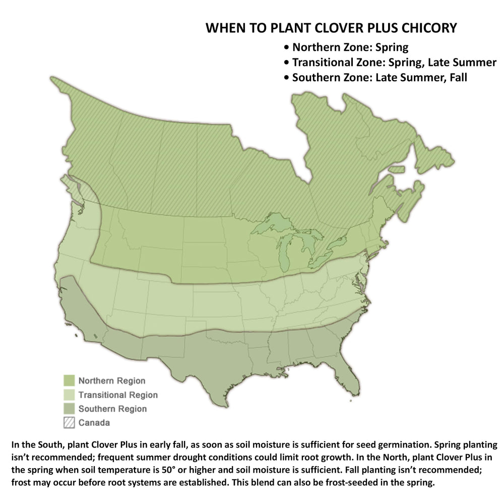 Biologic Drought-resistant blend—hardy growth through hot summers.