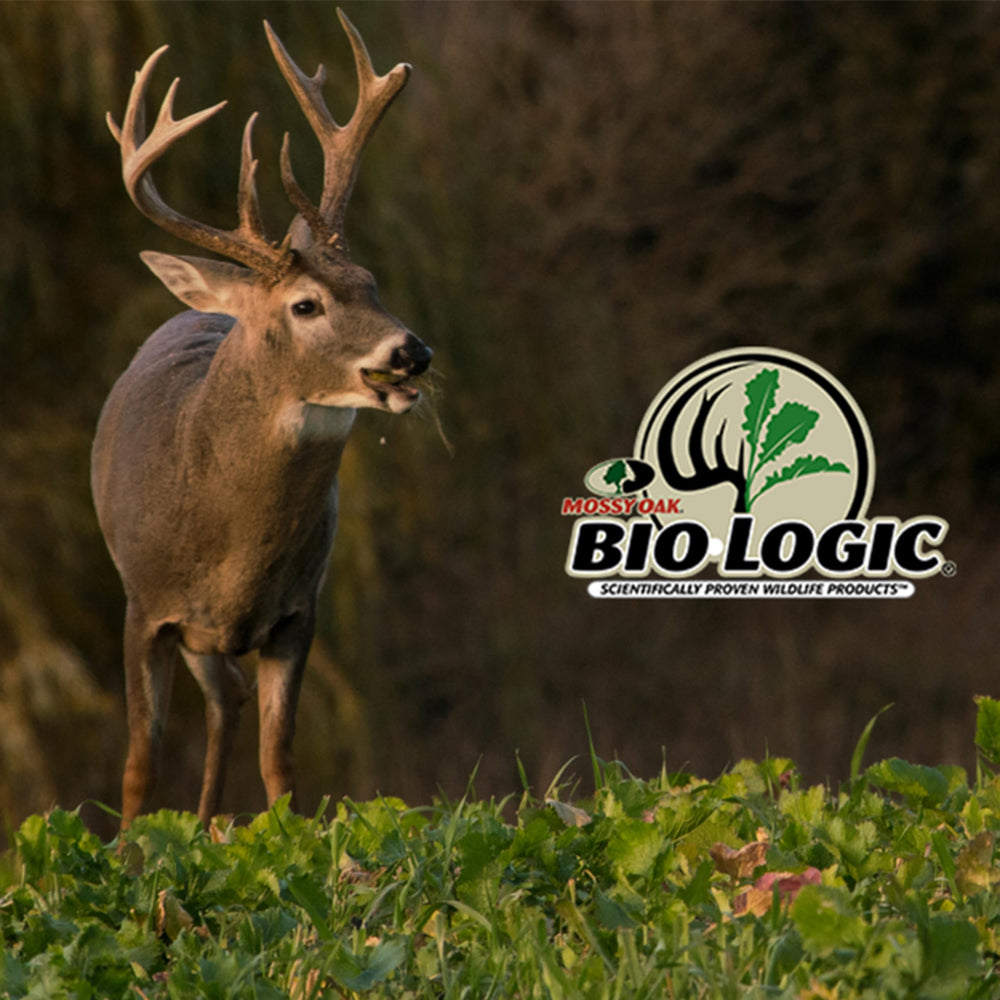 Biologic Non-Typical Clover planting-ready bag supports quarter-acre expansion.