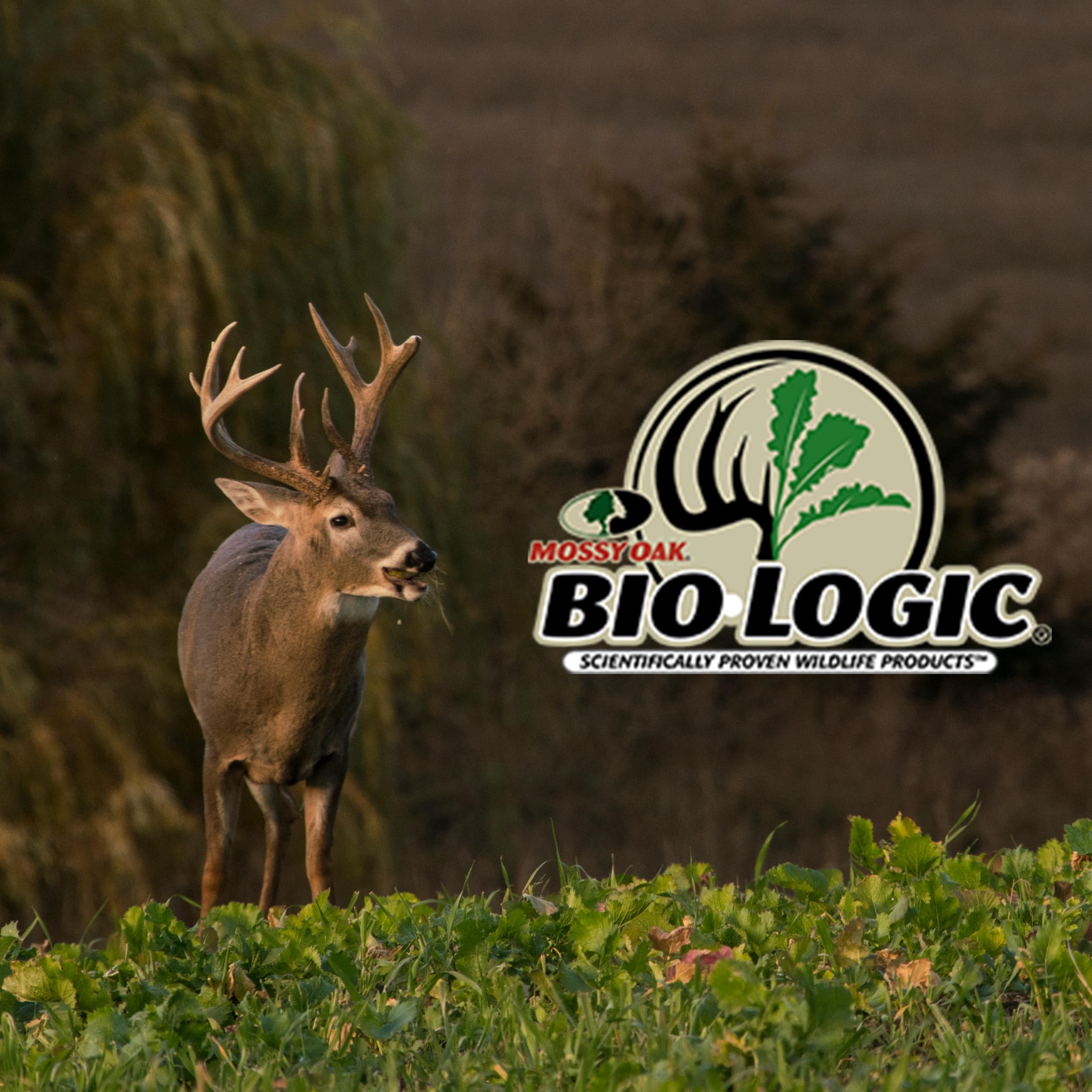 Biologic 2-lb bag—ready to cover a quarter acre or more.