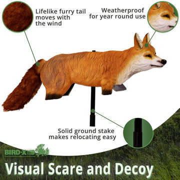 Bird-X FOX-3D decoy in-yard setup signals predator presence to birds