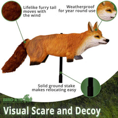 Bird-X FOX-3D decoy in-yard setup signals predator presence to birds