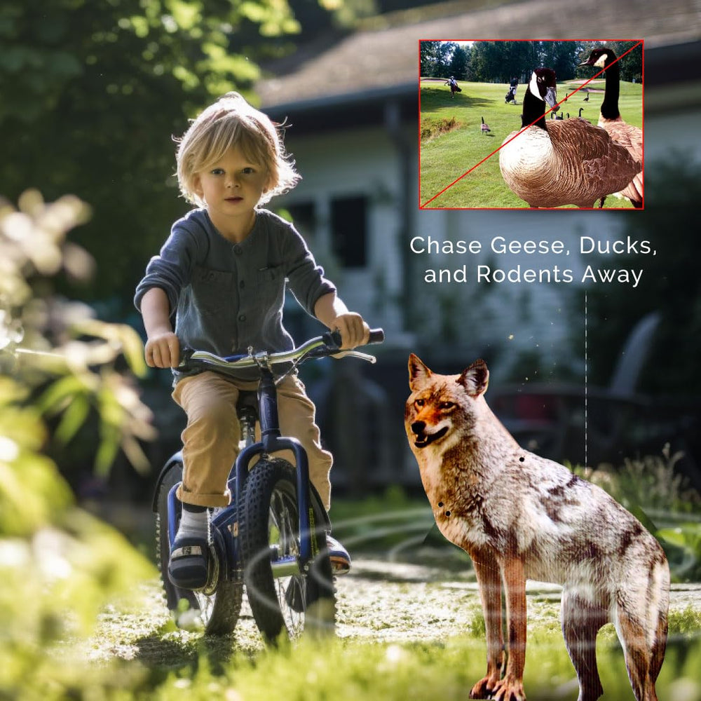 Bird-X predator deterrent for gardens offers chemical-free protection.