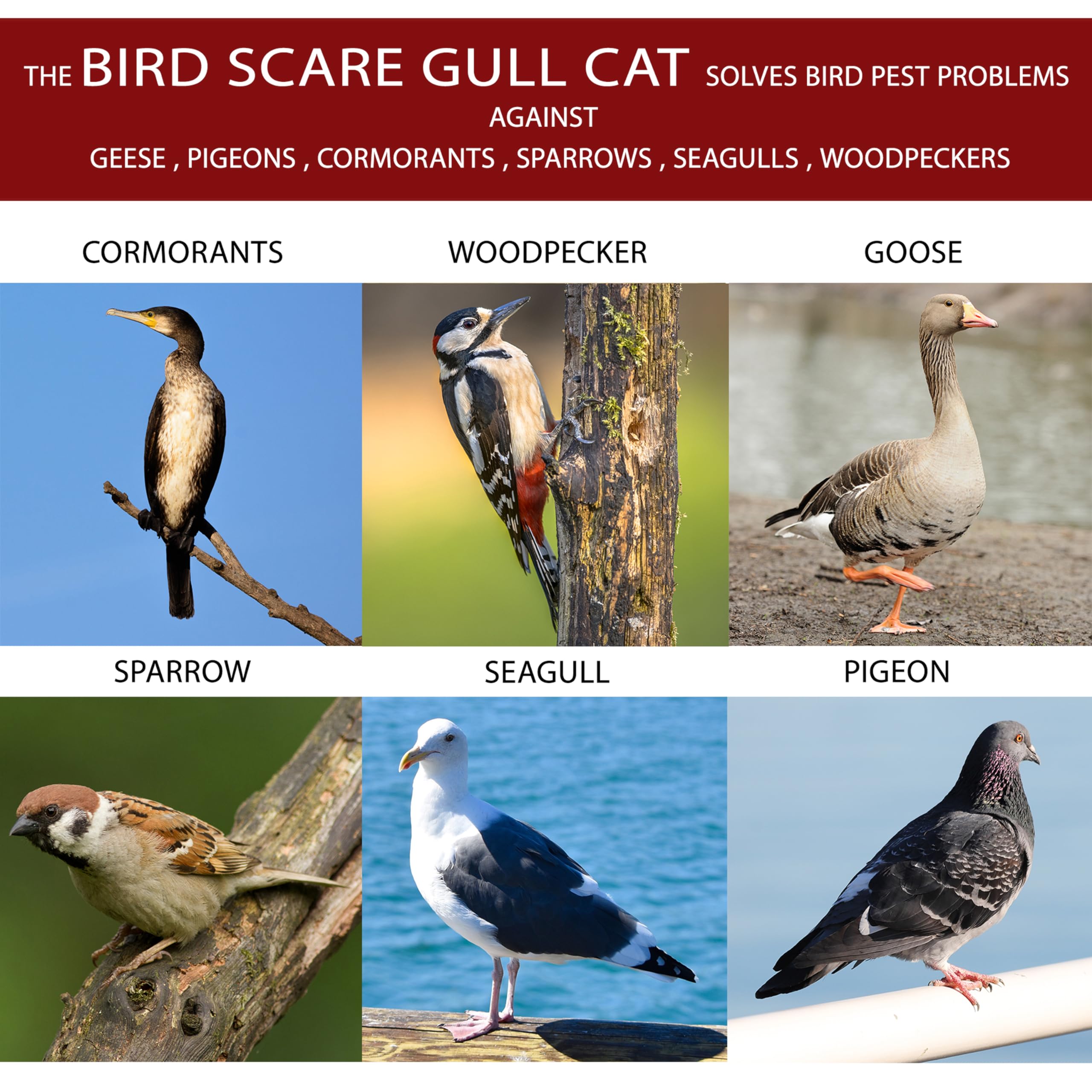 BirdBusters cat decoy brown on boat rail deters gulls and roosting birds