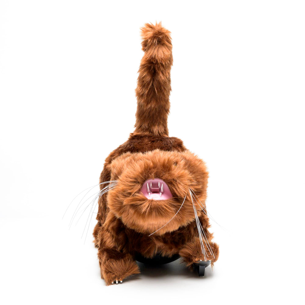 BirdBusters brown cat decoy in garden helps keep birds away