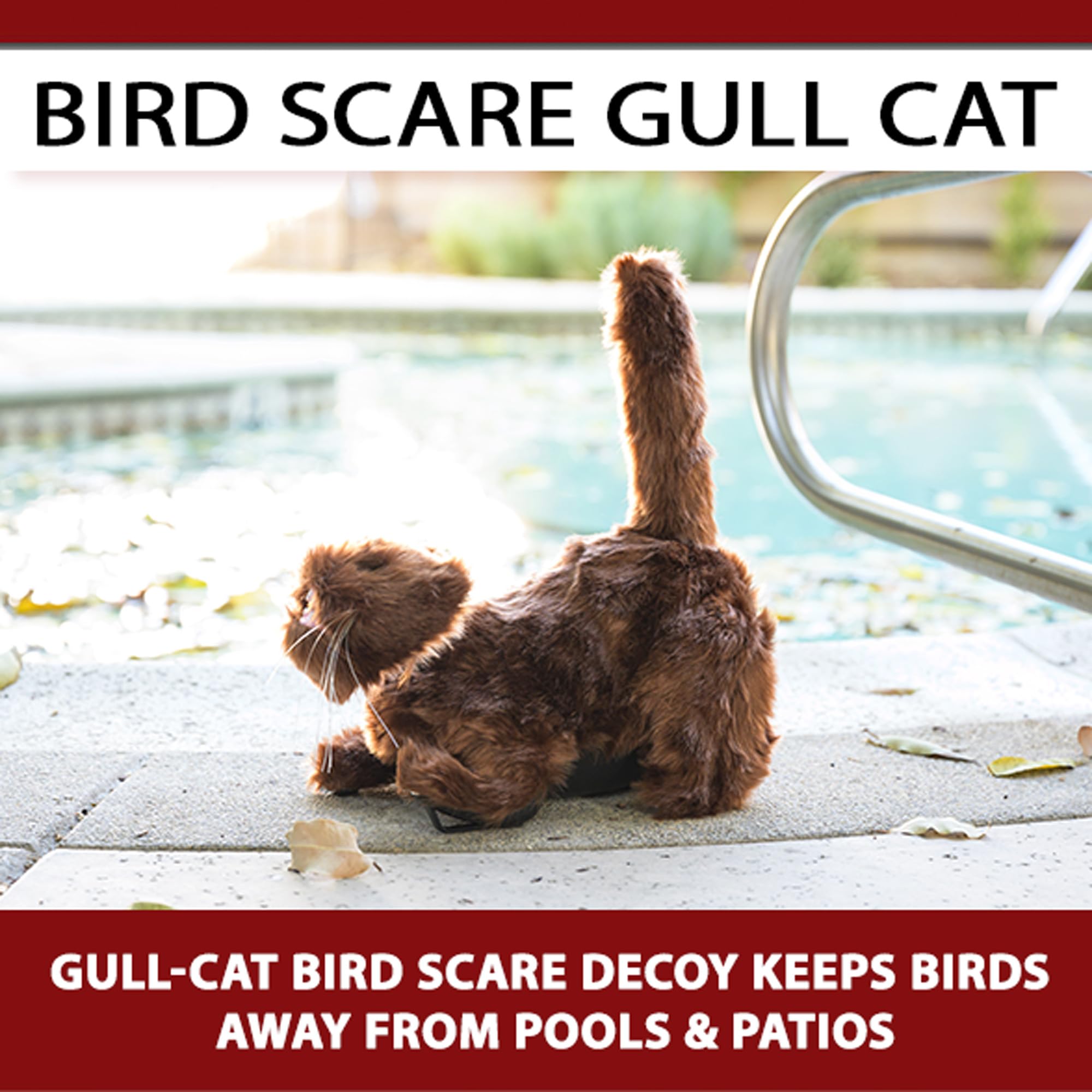 BirdBusters brown cat decoy by pool area reduces birds near water