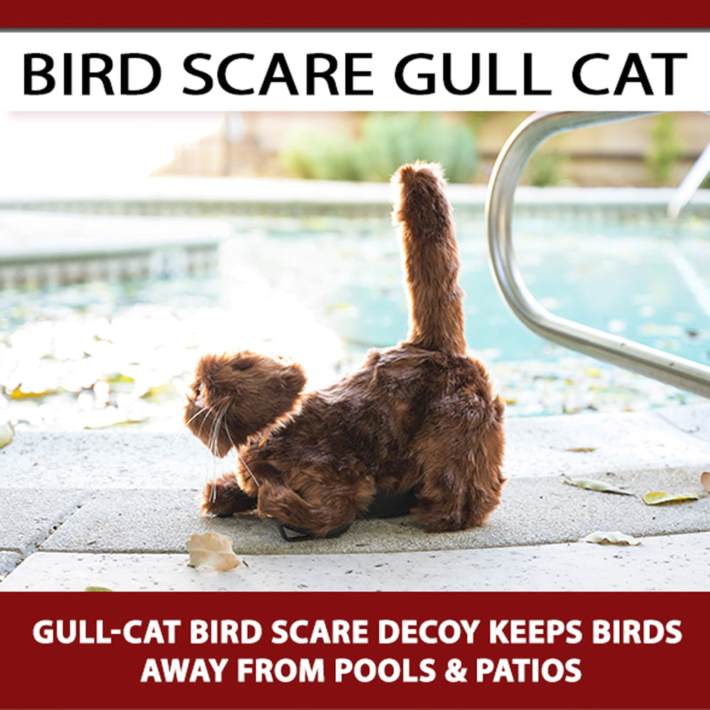 BirdBusters brown cat decoy by pool area reduces birds near water